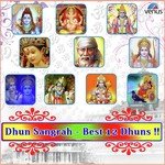 Dhun Sangrah - Best 12 Dhuns - Sachidanand Appa Song Download
